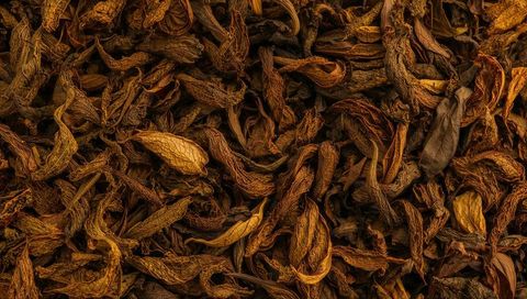 Macro close-up showing dried leaf litter and curled veins creating brown autumn texture