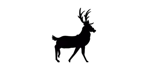 Silhouette of Walking Reindeer Against White Background - Download Free Stock Images Pikwizard.com