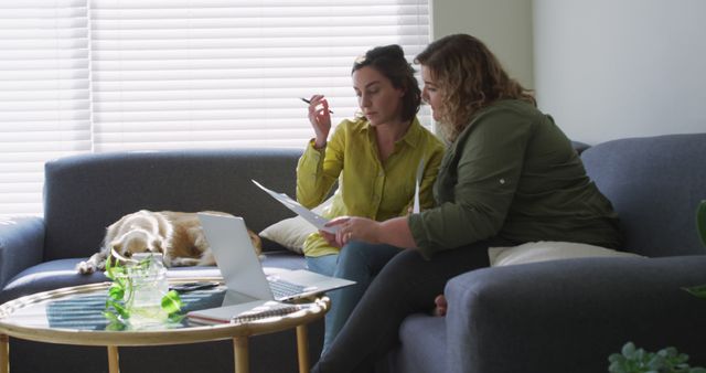 Two women in a relaxed living room atmosphere are collaborating on work or a project. They are using a laptop and reviewing documents, illustrating the modern work-from-home lifestyle. A dog rests nearby, adding a homely touch. Ideal for scenarios depicting remote work, collaboration, casual business meetings, or balancing work and home life.