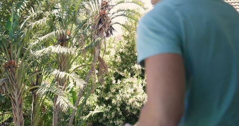 Tropical Balcony Scene with Palm Trees in Bright Sunlight