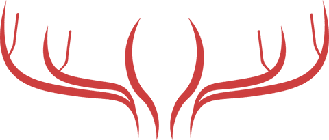 Red Abstract Antler Design on Transparent Background - Download Free Stock Videos Pikwizard.com