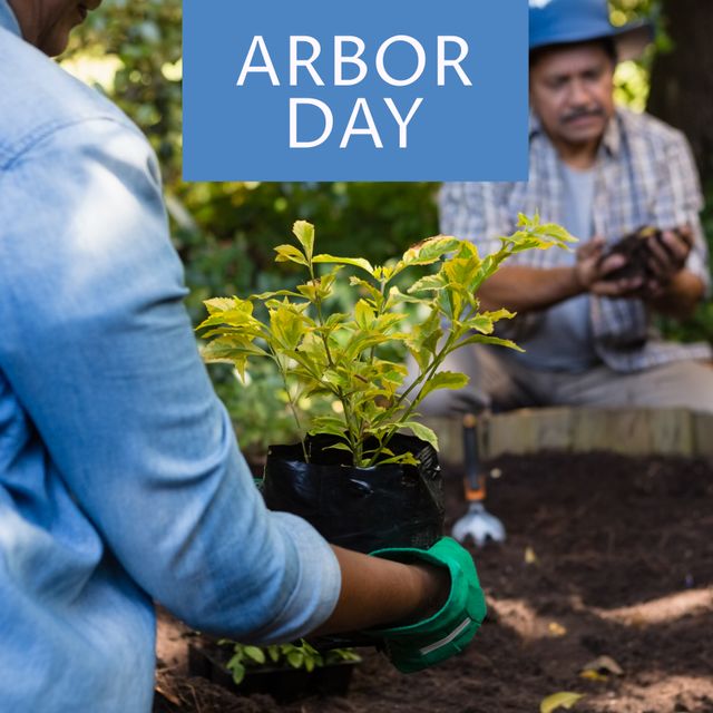 Senior Couple Planting Trees on Arbor Day in Garden - Download Free Stock Templates Pikwizard.com