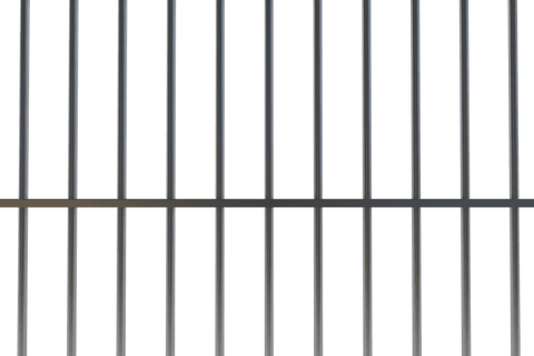 abstract black lines pattern on transparent background vector - Download Free Stock Videos Pikwizard.com