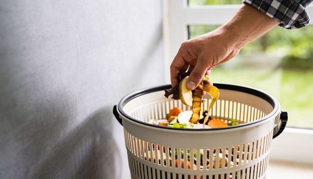 Hand placing fruit and vegetable scraps into compost bin on sunny windowsill