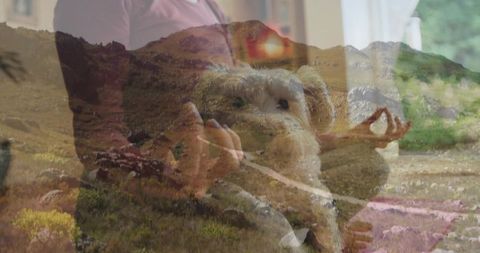 Meditating woman holding fluffy dog with mountain overlay conveying calm connection