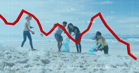 Volunteer Effort as Risk Management Concept On Environment