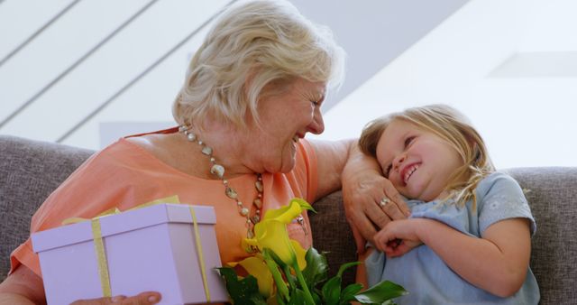 Smiling Grandma and Granddaughter Sharing Moments with Gift and Flower - Download Free Stock Images Pikwizard.com