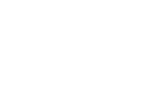 transparent four leaf clover png for symbolic nature designs - Download Free Stock Videos Pikwizard.com