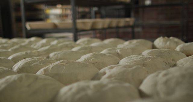 Showcases freshly made dough rising in an artisan bakery. Can be used for marketing bakery products, cooking classes, culinary blogs, or food-related articles. Highlights traditional bread-making process and fresh, homemade food preparation.