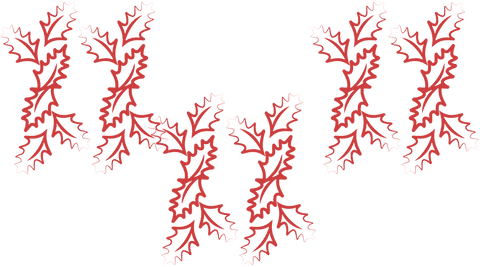 red holly leaves pattern on transparent background for christmas - Download Free Stock Videos Pikwizard.com