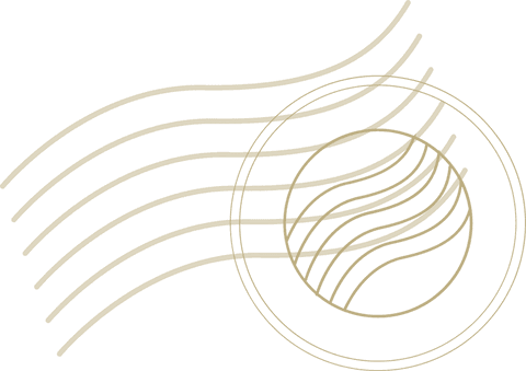 elegant gold waves with circular ring on transparent background - Download Free Stock Videos Pikwizard.com