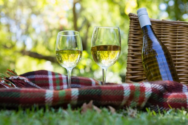 Wine Glasses and Bottle on Picnic Blanket in Park - Download Free Stock Photos Pikwizard.com