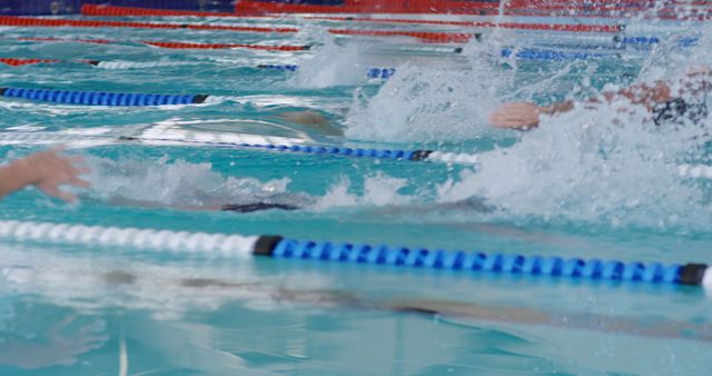 Splashing water and diverse male swimmers racing in lanes at indoor pool, copy space - Download Free Stock Photos Pikwizard.com