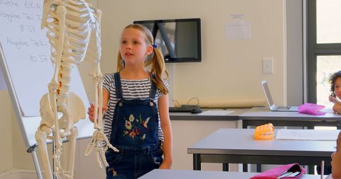 Young Student Presenting Human Skeleton in Class - Download Free Stock Images Pikwizard.com