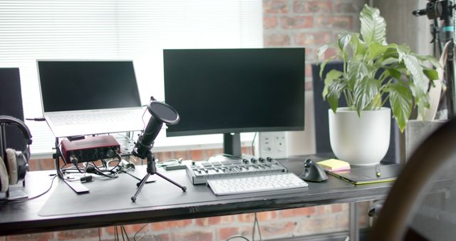 Modern Home Office Studio with Tech Equipment and Indoor Plant - Download Free Stock Images Pikwizard.com