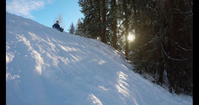 The image shows a child enjoying sledding down a snowy hill in a winter forest. The sunlight filters through the tall pine trees, creating a serene and adventurous winter atmosphere. This image can be used for winter sports promotions, outdoor recreational activities advertisements, and adventure-themed family campaigns.