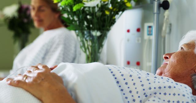 Elderly Patients in Hospital Ward with Flowers - Download Free Stock Images Pikwizard.com