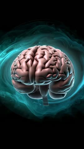 Rotating Brain Model Revealing Neural Pathways in Teal Mist Vertical Neuroscience Animation