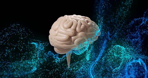 3d brain with digital effects showcasing ai technology