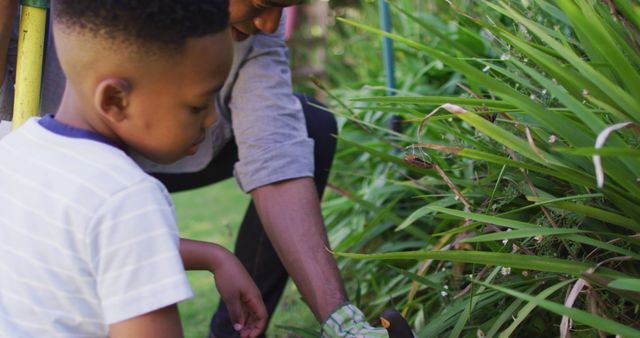 Father and son bonding while gardening in lush backyard - Download Free Stock Images Pikwizard.com