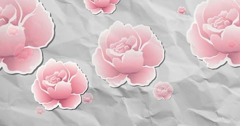 Pink paper roses on crumpled gray paper with sticker outline and soft shadows