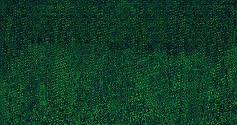 Interference Over Cryptocurrency Text on Black Background - Download Free Stock Images Pikwizard.com