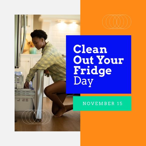 woman cleaning out fridge celebrating clean out your fridge day - Download Free Stock Templates Pikwizard.com
