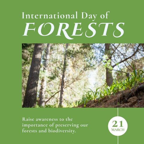 International Day of Forests Awareness Poster with Lush Trees - Download Free Stock Templates Pikwizard.com