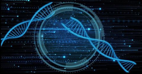 Glowing blue dna helix intersecting translucent hud over digital binary matrix for genomics