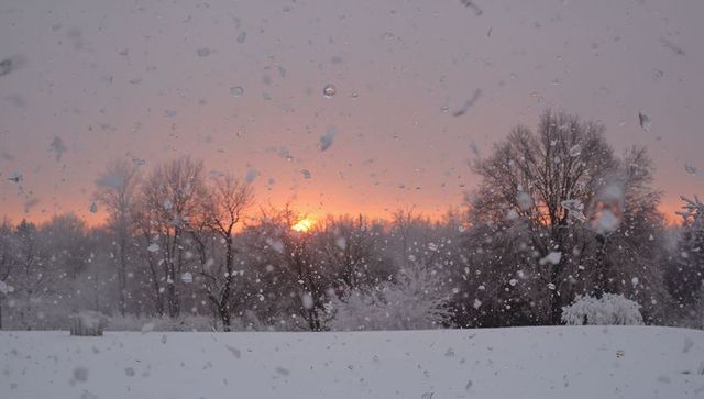 Glowing sunset framing frosted window with falling snow and bare winter trees