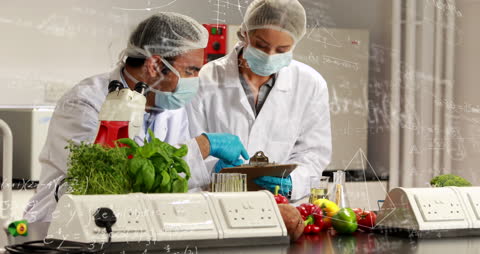Scientists Testing Food Safety in Laboratory