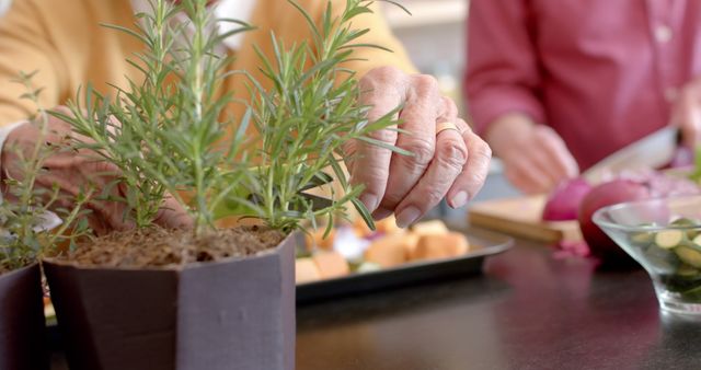 Senior Couple Cooking with Fresh Herbs in Kitchen - Download Free Stock Images Pikwizard.com