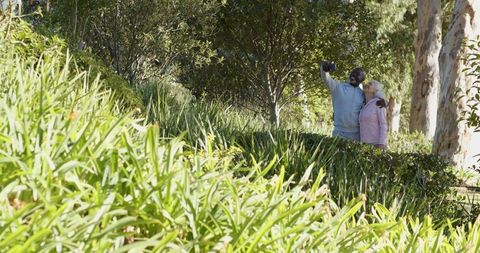 Senior Couple Enjoying Sunny Day in Lush Green Park