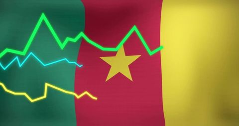 Cameroon economic data visualization with flag background