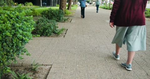 Pedestrian walking along tree-lined urban walkway with pavers, landscaping and sneakers