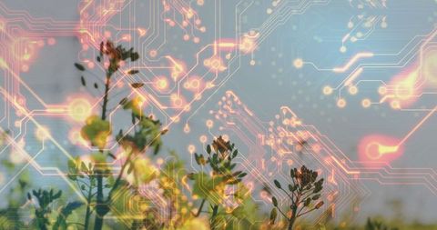 Futuristic tech-infused nature concept with circuit patterns