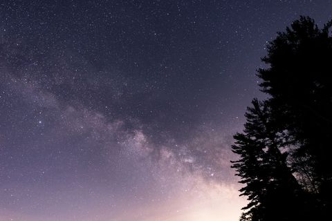 Stunning View of Milky Way Across Night Sky with Silhouetted Trees