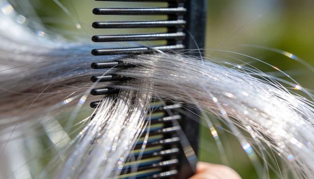 Macro combing silvery-gray hair with black plastic comb catching strands in sunlight bokeh