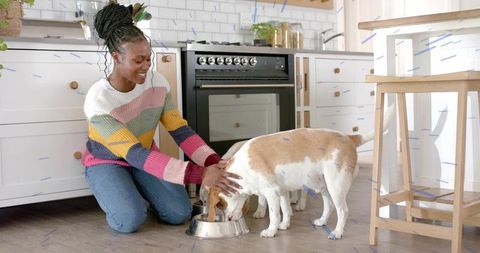 Woman Feeding Beagle in Modern Kitchen