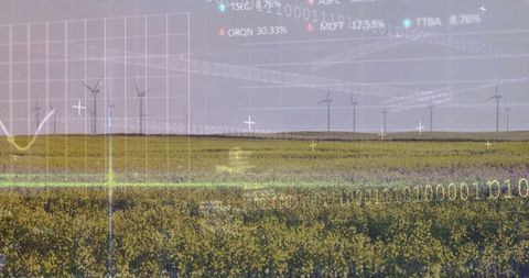 Renewable Energy and Crop Field with Digital Data Concept