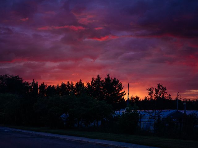 Vibrant Sunset with Red and Purple Skies Over Tree Line - Download Free Stock Photos Pikwizard.com