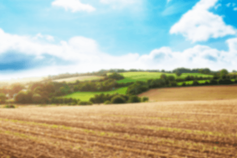 transparent illustration of expansive field landscape under cloudy blue sky - Download Free Stock Videos Pikwizard.com