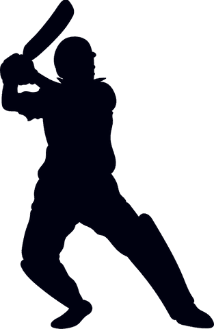 cricket batsman silhouette with bat raised on transparent background - Download Free Stock Videos Pikwizard.com