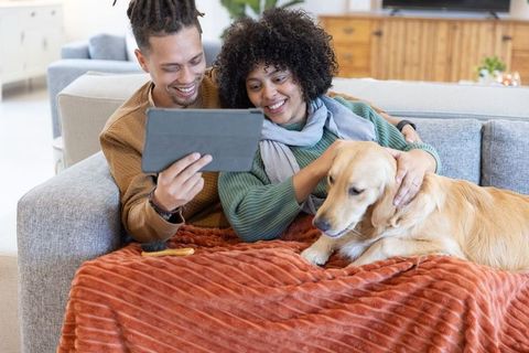 African american couple sharing tablet and petting golden retriever on cozy sofa