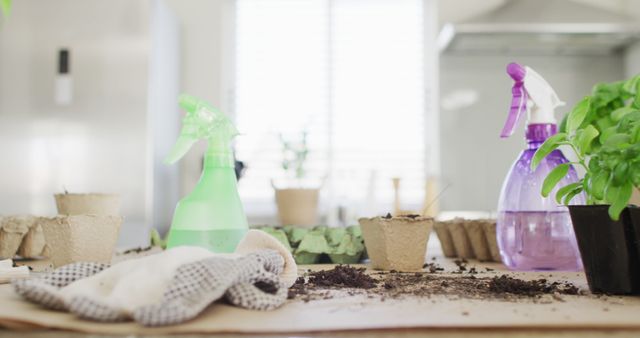 Close up of garden equipment with sprinklers with water and plants of basil on table in kitchen. Garden at home concept.