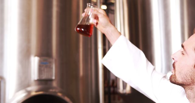 Brewery Worker Inspecting Beer Sample in Brewery Tank - Download Free Stock Images Pikwizard.com