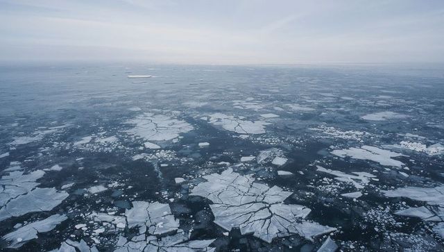 Drifting arctic sea ice floes fracturing across vast polar ocean expanse at pale dawn