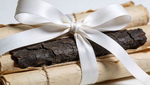White satin ribbon tying vintage parchment scrolls with cracked bark accent rustic bundle