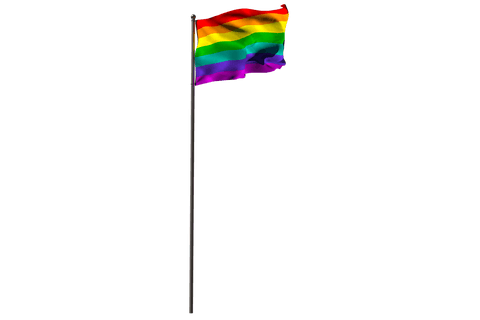 colorful rainbow flag on transparent background illustrating diversity - Download Free Stock Videos Pikwizard.com