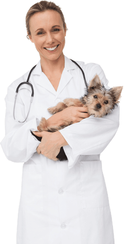Transparent Vet Smiling with Yorkshire Terrier Puppy